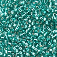 Miyuki delica beads 11/0 - Silverlined caribbean teal DB-1208